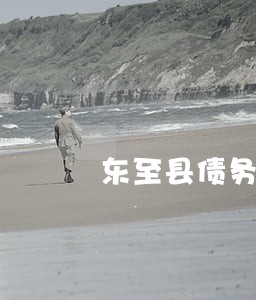 东至县债务诉讼律师 东至县债务诉讼律师