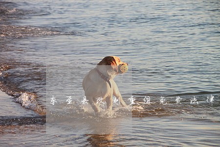 东至县改制重组免费法律咨询热线 东至县改制重组免费法律咨询热线