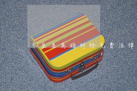 东至县离婚纠纷免费法律咨询热线 东至县离婚纠纷免费法律咨询热线