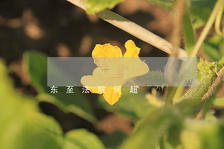 东至法院何超 东至法院何超