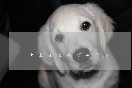 东至法院出售二手车 东至法院出售二手车