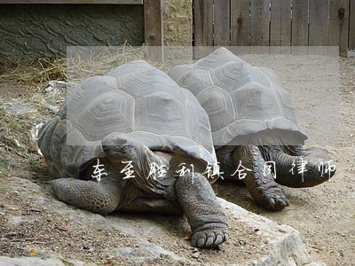 东至胜利镇合同律师 东至胜利镇合同律师
