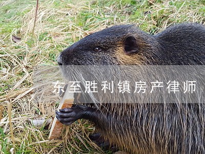 东至胜利镇房产律师 东至胜利镇房产律师