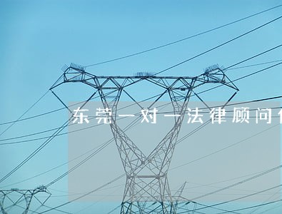 东莞一对一法律顾问价格 东莞一对一法律顾问价格