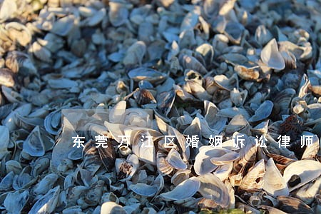 东莞万江区婚姻诉讼律师怎么收费 东莞万江区婚姻诉讼律师怎么收费