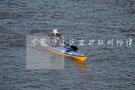 东莞万江区监护权纠纷律师网 东莞万江区监护权纠纷律师网
