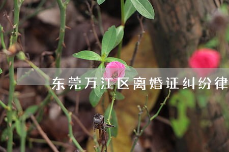 东莞万江区离婚证纠纷律师 东莞万江区离婚证纠纷律师
