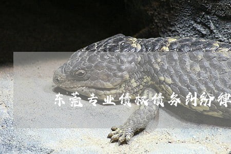 东莞专业债权债务纠纷律师 东莞专业债权债务纠纷律师