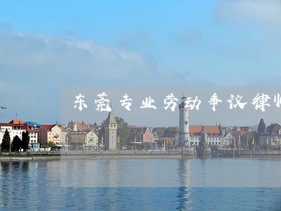 东莞专业劳动争议律师 东莞专业劳动争议律师