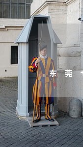 东莞专业劳动律师 东莞专业劳动律师