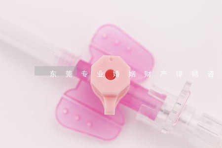 东莞专业婚姻财产律师咨询网站 东莞专业婚姻财产律师咨询网站