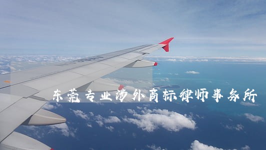 东莞专业涉外商标律师事务所 东莞专业涉外商标律师事务所