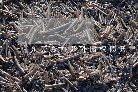 东莞专办涉外债权债务律师团队 东莞专办涉外债权债务律师团队