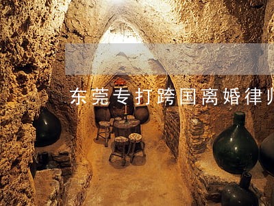 东莞专打跨国离婚律师 东莞专打跨国离婚律师