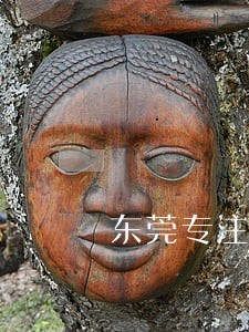 东莞专注涉外债权债务律师网
