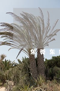 东莞东坑取保候审律师哪个好 东莞东坑取保候审律师哪个好