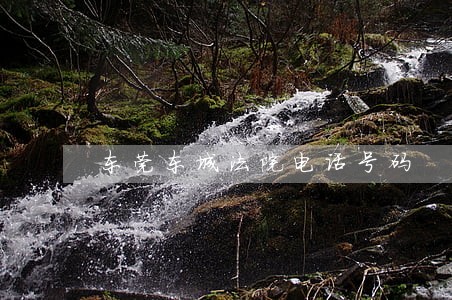 东莞东城法院电话号码 东莞东城法院电话号码