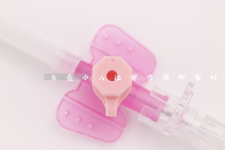 东莞个人法律咨询哪家好 东莞个人法律咨询哪家好