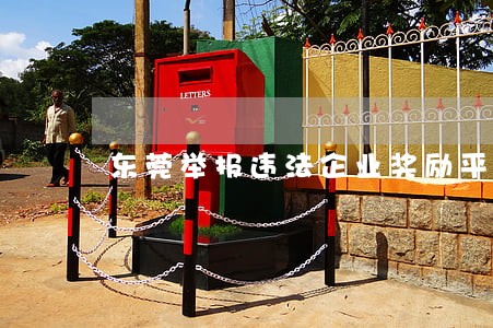 东莞举报违法企业奖励平台 东莞举报违法企业奖励平台