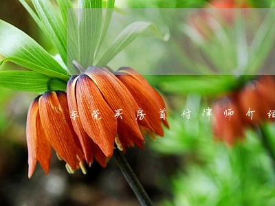 东莞买房首付律师介绍