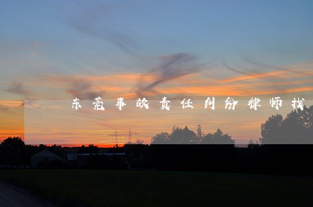 东莞事故责任纠纷律师找谁