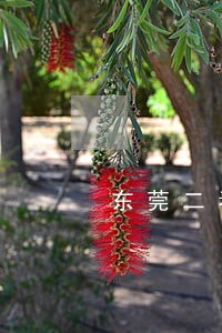 东莞二看守所位置 东莞二看守所位置