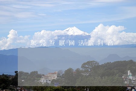 东莞互联网法院抖音 东莞互联网法院抖音
