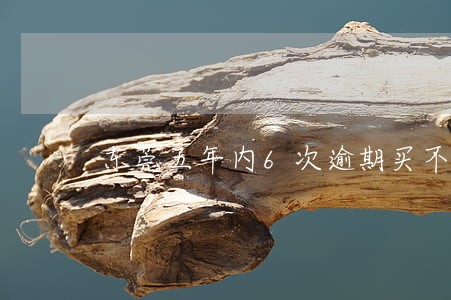 东莞五年内6次逾期买不了房 东莞五年内6次逾期买不了房