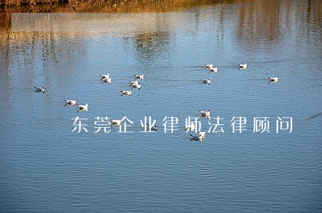 东莞企业律师法律顾问 东莞企业律师法律顾问