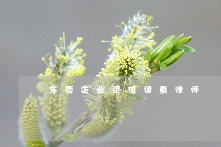 东莞企业资信调查律师 东莞企业资信调查律师
