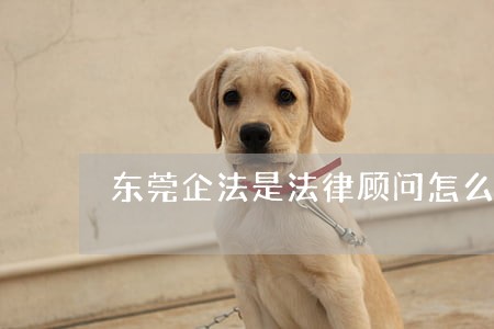 东莞企法是法律顾问怎么样 东莞企法是法律顾问怎么样