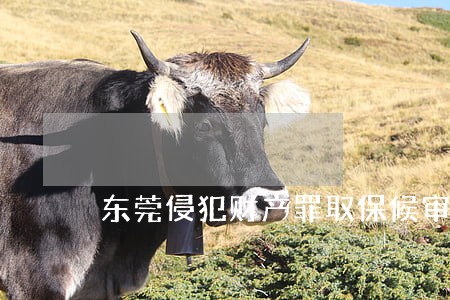 东莞侵犯财产罪取保候审律师收费 东莞侵犯财产罪取保候审律师收费