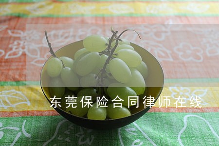 东莞保险合同律师在线 东莞保险合同律师在线