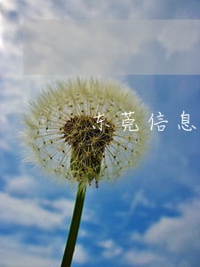 东莞信息平台 东莞信息平台