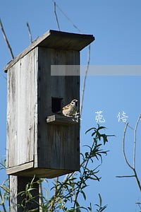 东莞信用卡逾期2个月会停卡吗
