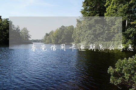 东莞信用卡逾期怎么停息挂账 东莞信用卡逾期怎么停息挂账