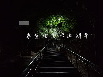 东莞信用卡逾期率 东莞信用卡逾期率