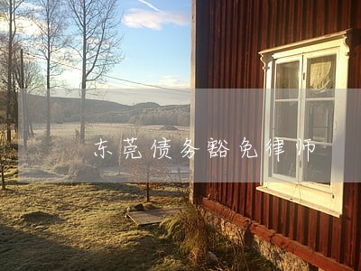 东莞债务豁免律师 东莞债务豁免律师