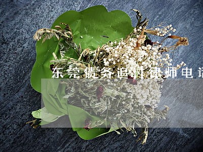 东莞债务追讨律师电话 东莞债务追讨律师电话
