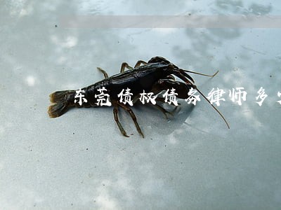 东莞债权债务律师多少钱问题 东莞债权债务律师多少钱问题