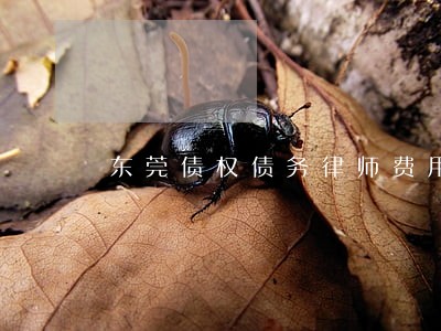 东莞债权债务律师费用标准 东莞债权债务律师费用标准