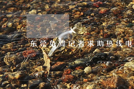 东莞免费记者求助热线电话 东莞免费记者求助热线电话