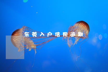 东莞入户信用逾期 东莞入户信用逾期