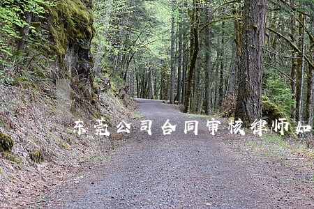 东莞公司合同审核律师如何委托 东莞公司合同审核律师如何委托