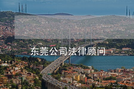 东莞公司法律顾问 东莞公司法律顾问