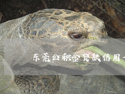 东莞公积金贷款信用卡逾期 东莞公积金贷款信用卡逾期