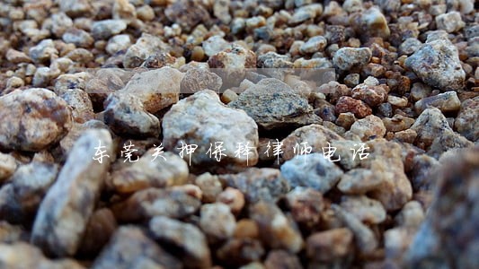 东莞关押保释律师电话