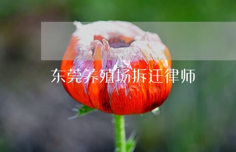 东莞养殖场拆迁律师 东莞养殖场拆迁律师
