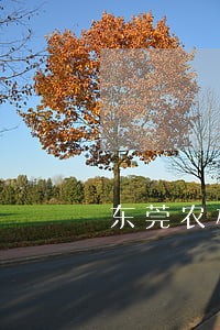 东莞农村商业银行房贷逾期 东莞农村商业银行房贷逾期