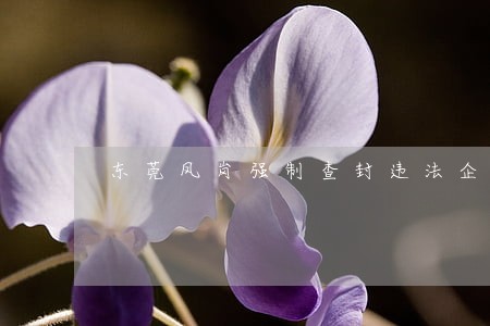 东莞凤岗强制查封违法企业 东莞凤岗强制查封违法企业